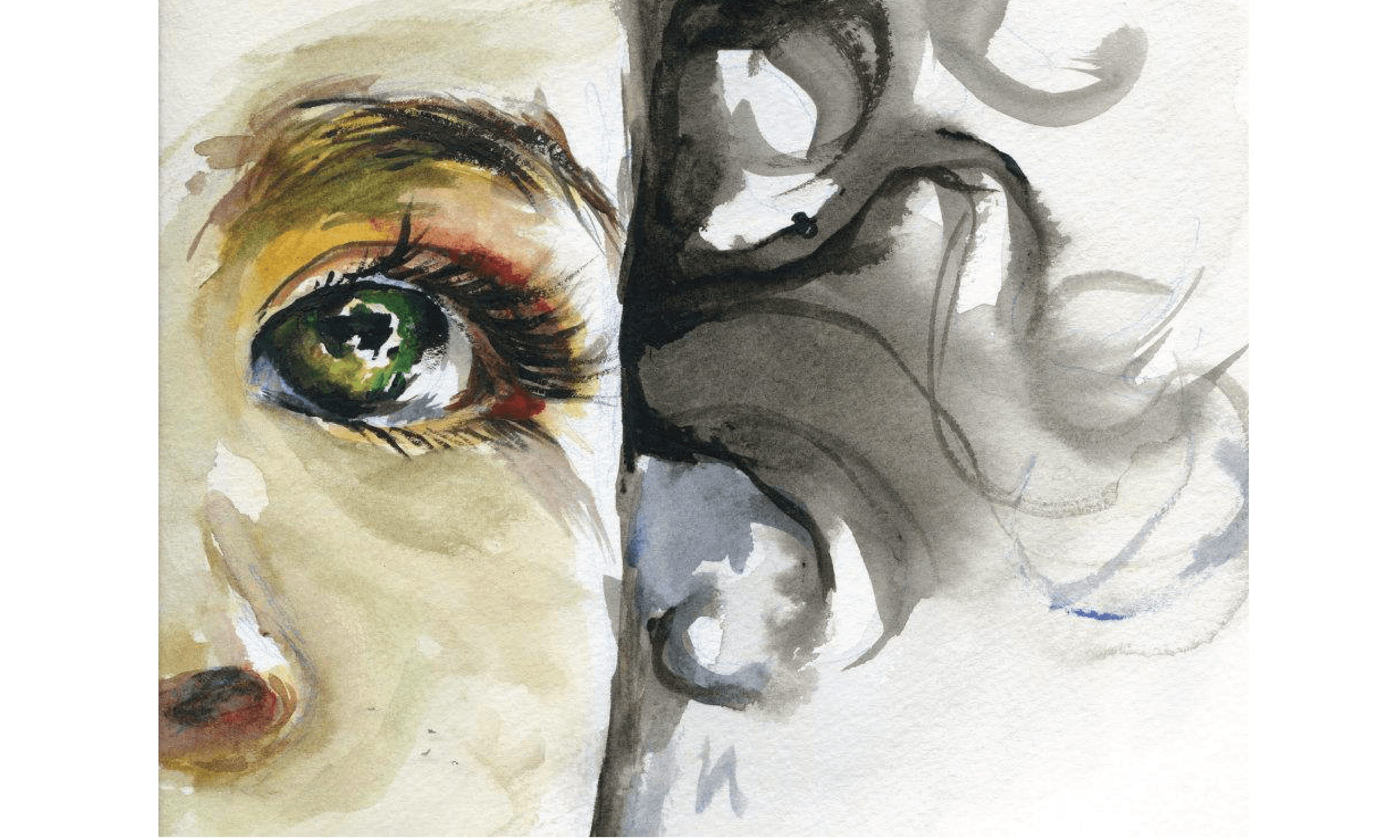 Portfolio 06 illustration